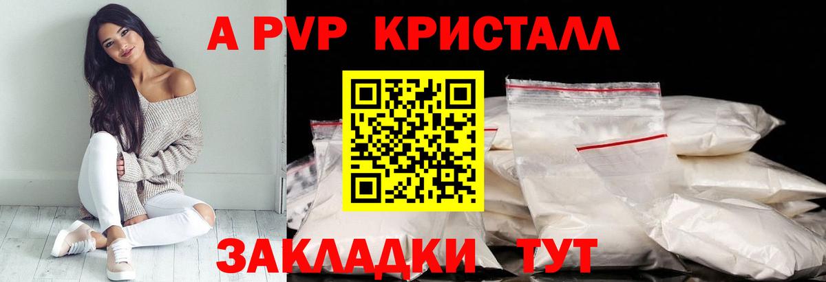 Альфа ПВП СК Луга