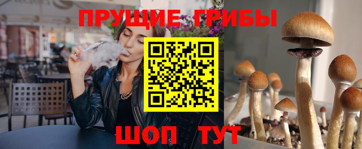 Галлюциногенные грибы Cubensis Луга